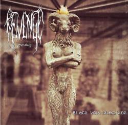 Revenge Prevails : Black Void Injection